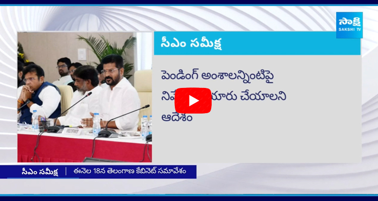 CM Revanth Reddy Key Review Meeting On Pending Issues In State Separation Act 