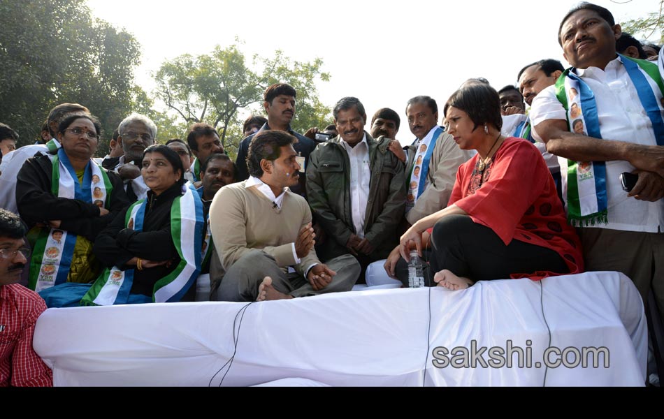 YSR Congress Chief YS Jagan Mohan Reddy stages anti Telangana protest in Delhi - Sakshi38