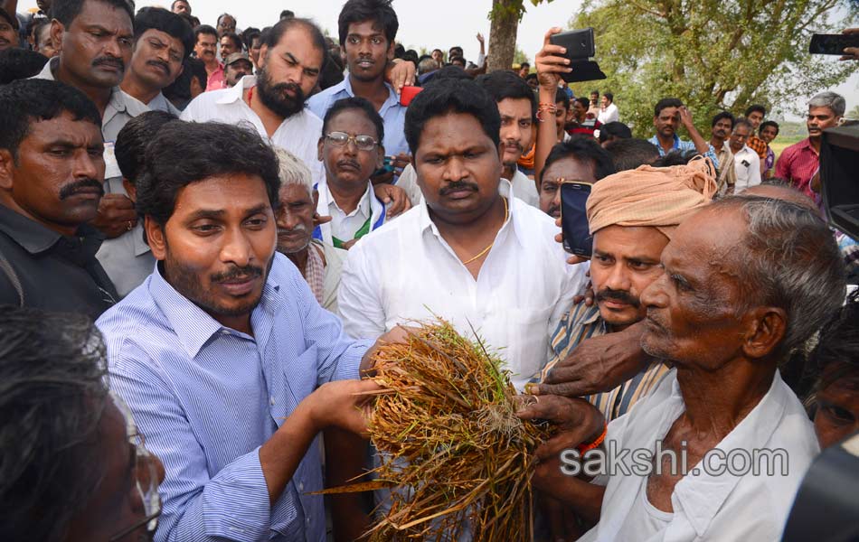 YS jagan mohan reddy tour in East Godavari - Sakshi5