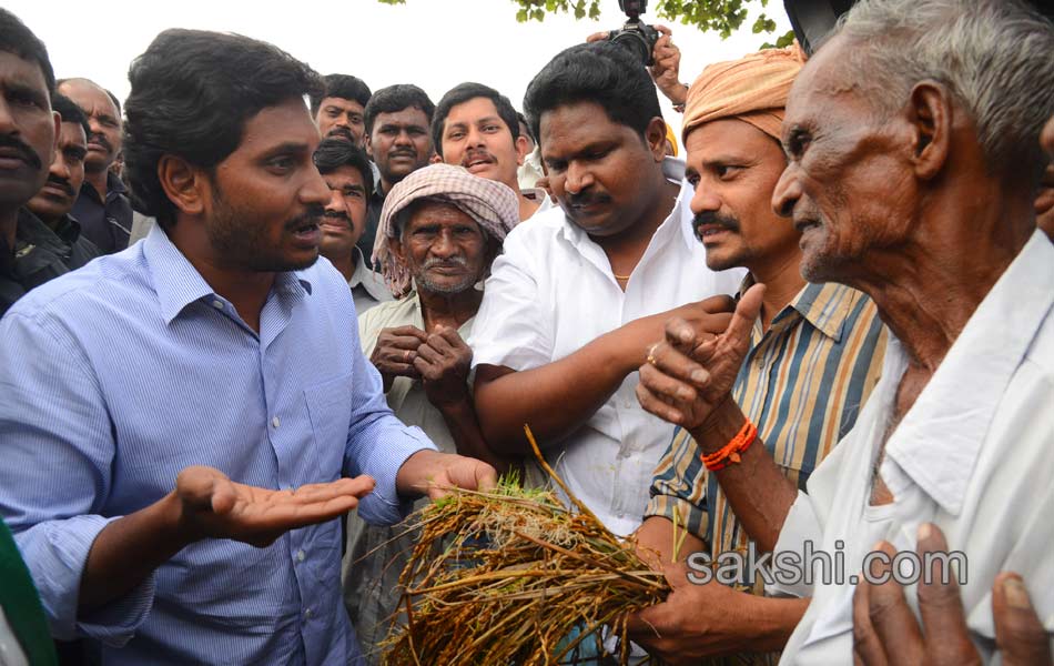 YS jagan mohan reddy tour in East Godavari - Sakshi6