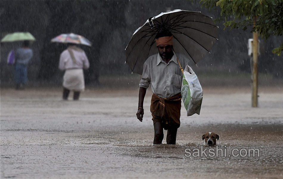 heavy rains in chennai10