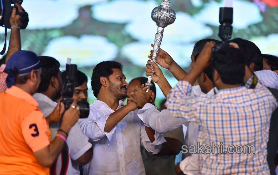 ysrcp plenary grand success in guntur - Sakshi16