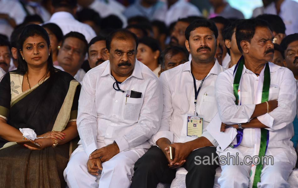 ysrcp plenary grand success in guntur - Sakshi24