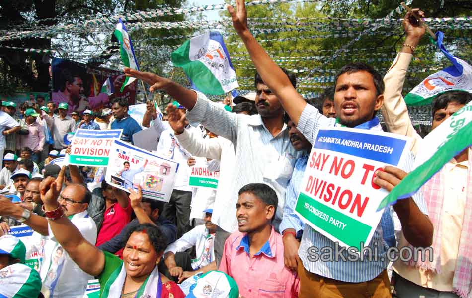 YSR Congress Chief YS Jagan Mohan Reddy stages anti Telangana protest in Delhi - Sakshi8