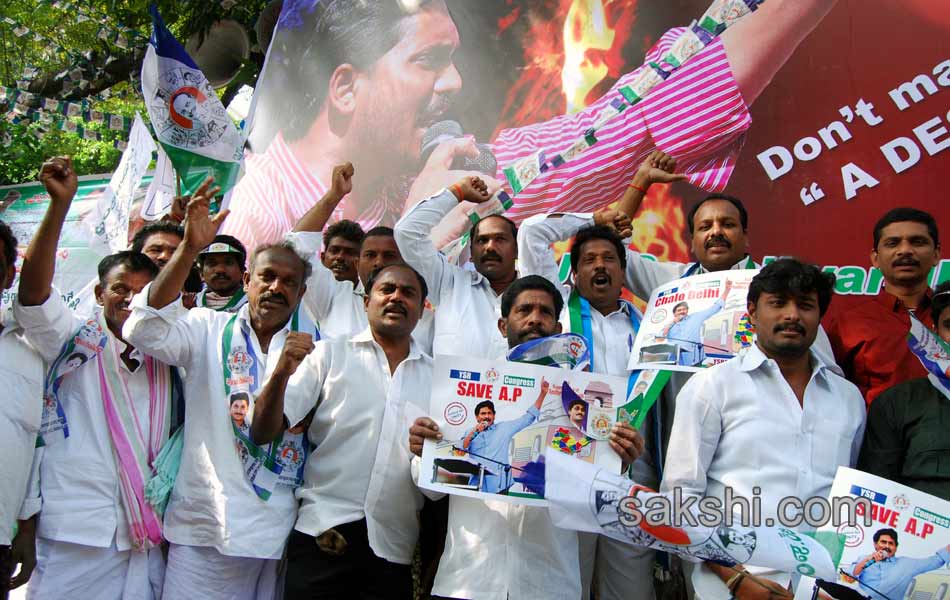 YSR Congress Chief YS Jagan Mohan Reddy stages anti Telangana protest in Delhi - Sakshi11