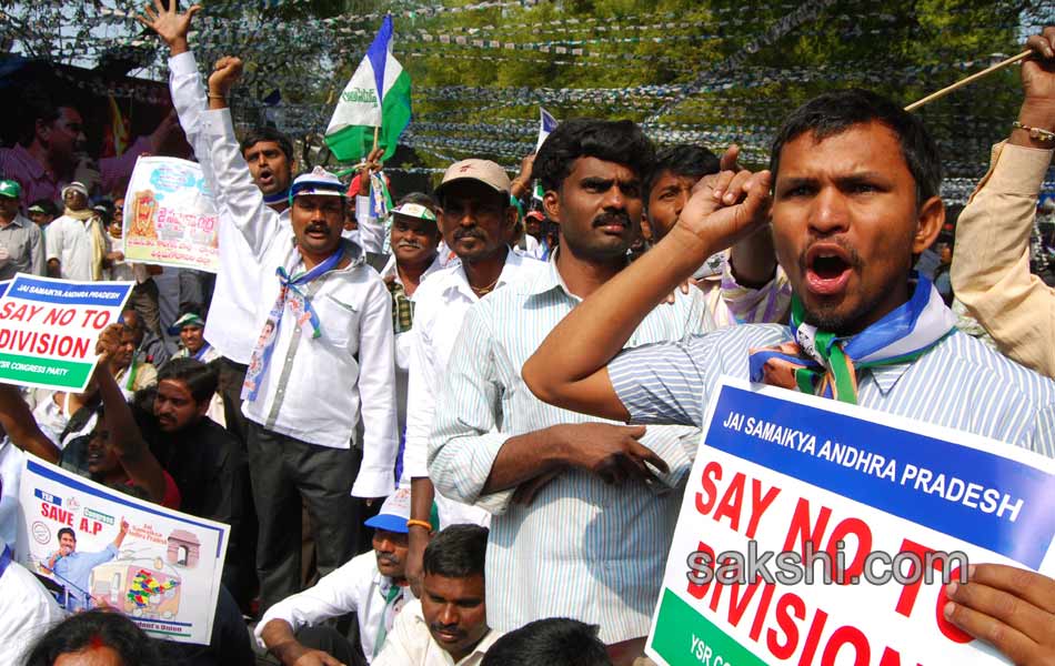 YSR Congress Chief YS Jagan Mohan Reddy stages anti Telangana protest in Delhi - Sakshi19