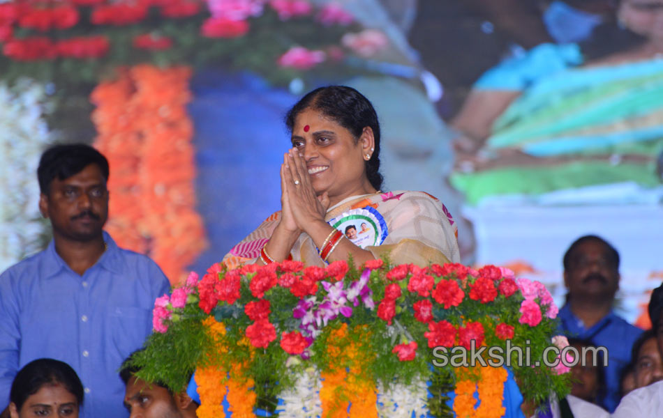 ysrcp plenary grand success in guntur - Sakshi9