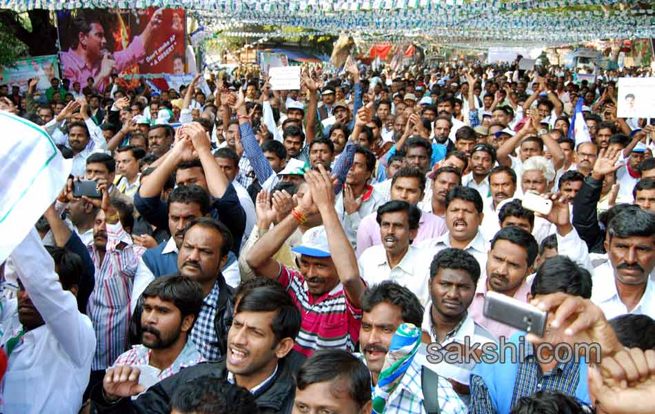 YSR Congress Chief YS Jagan Mohan Reddy stages anti Telangana protest in Delhi - Sakshi16