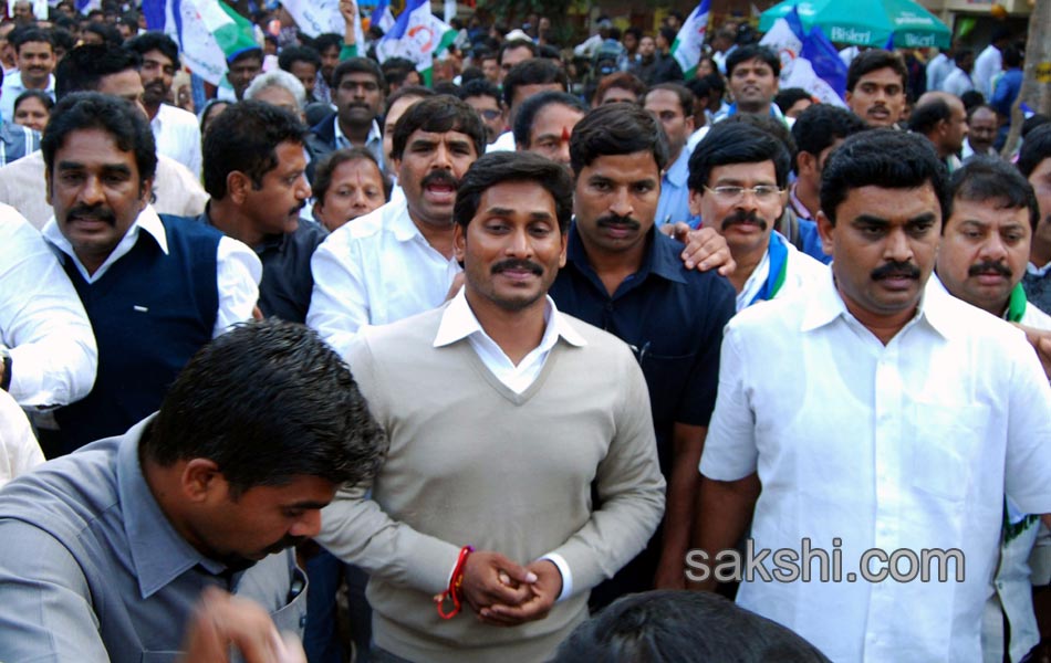 YSR Congress Chief YS Jagan Mohan Reddy stages anti Telangana protest in Delhi - Sakshi29