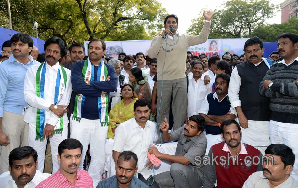 YSR Congress Chief YS Jagan Mohan Reddy stages anti Telangana protest in Delhi - Sakshi41