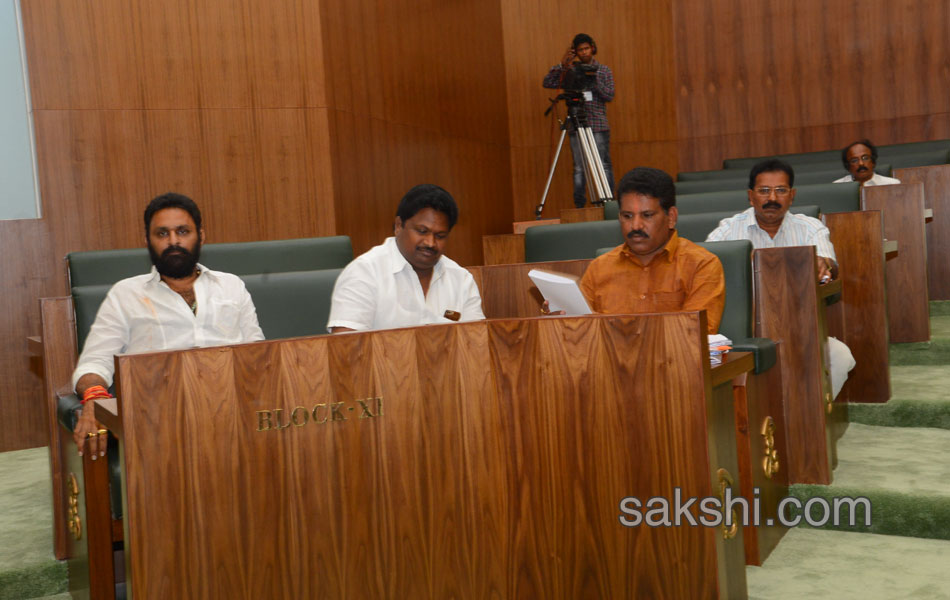 Andhra Pradesh budjet 2017 - Sakshi4