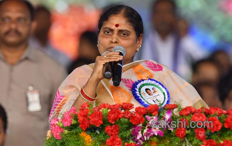 ysrcp plenary grand success in guntur - Sakshi6