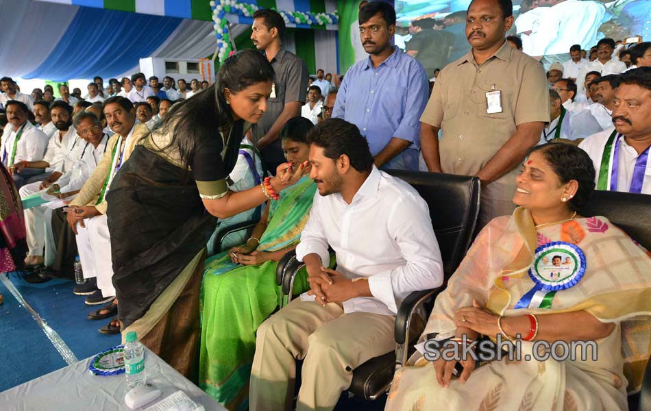 ysrcp plenary grand success in guntur - Sakshi18