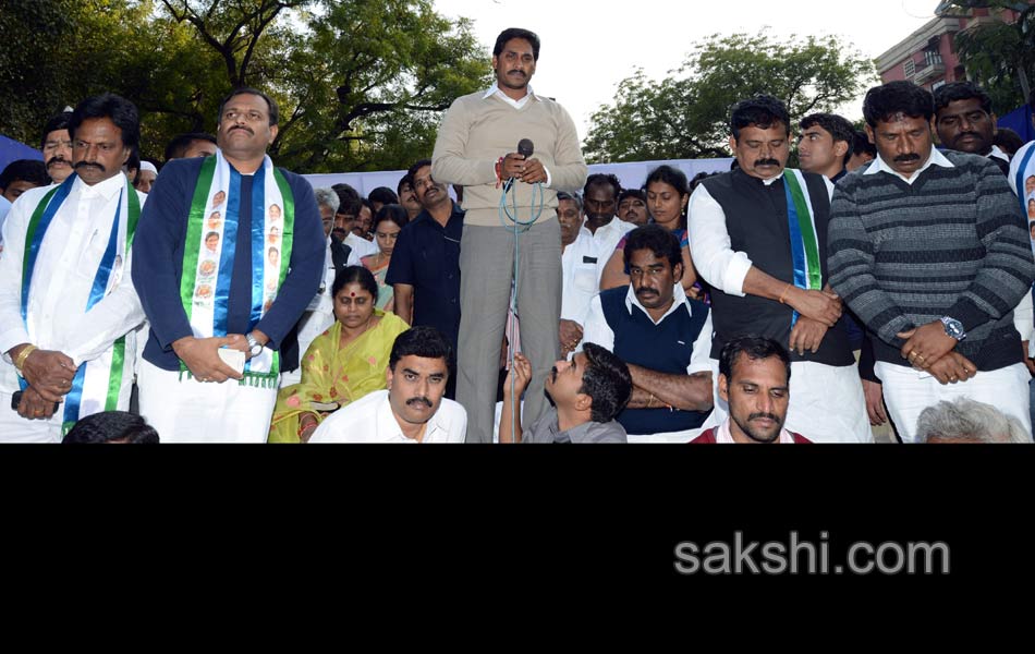 YSR Congress Chief YS Jagan Mohan Reddy stages anti Telangana protest in Delhi - Sakshi56