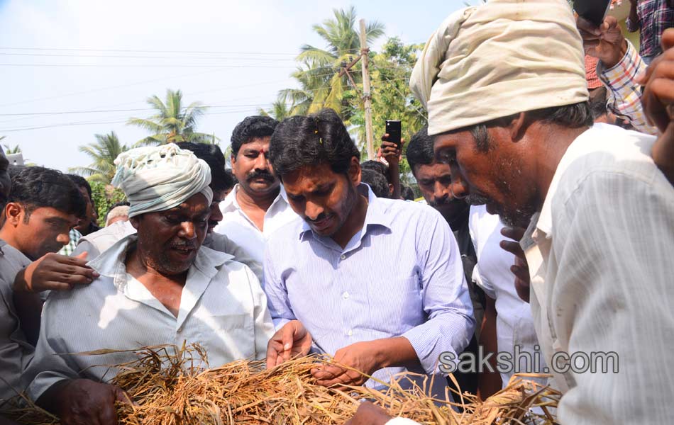 YS jagan mohan reddy tour in East Godavari - Sakshi2