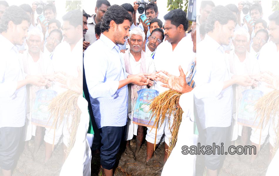 YS jagan mohan reddy tour in East Godavari - Sakshi13