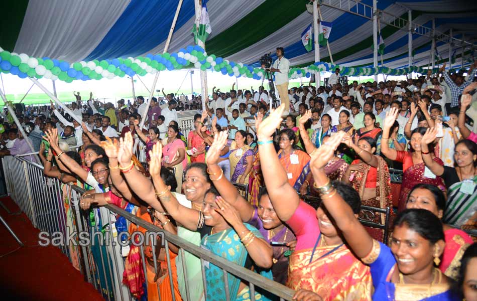ysrcp plenary grand success in guntur - Sakshi19