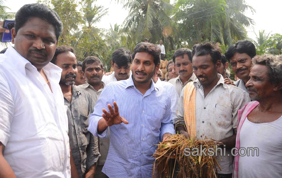 YS jagan mohan reddy tour in East Godavari - Sakshi3