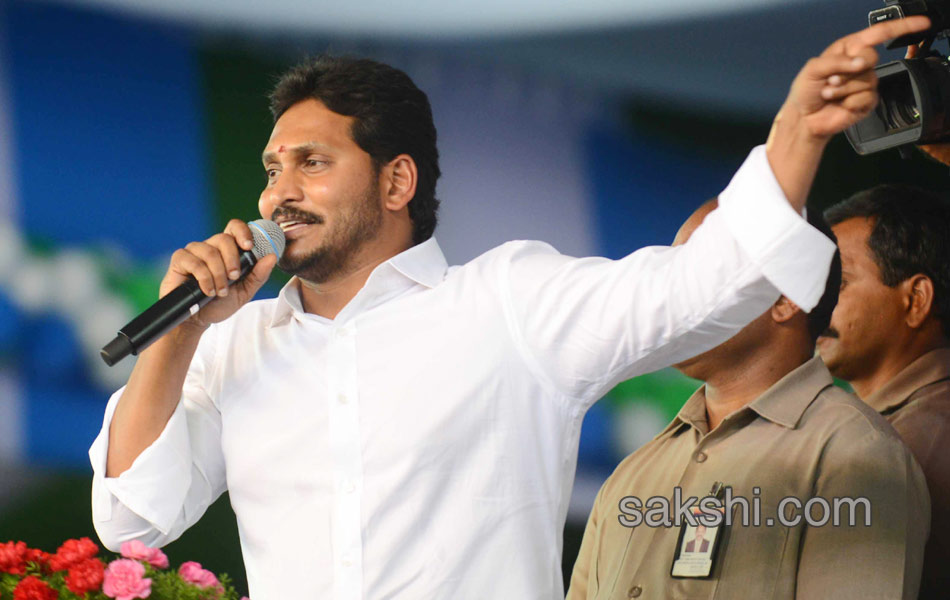 ysrcp plenary grand success in guntur - Sakshi4