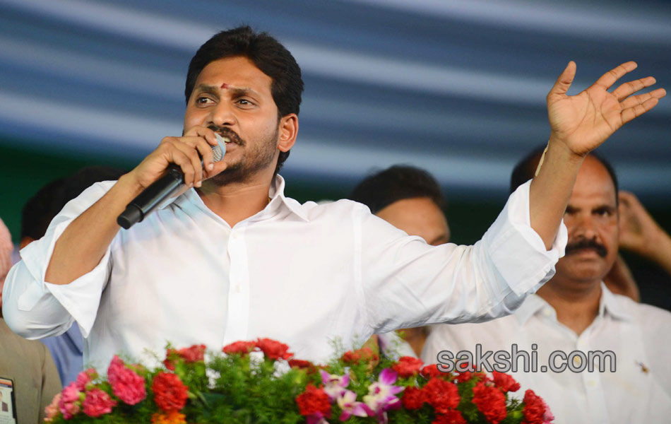 ysrcp plenary grand success in guntur - Sakshi1
