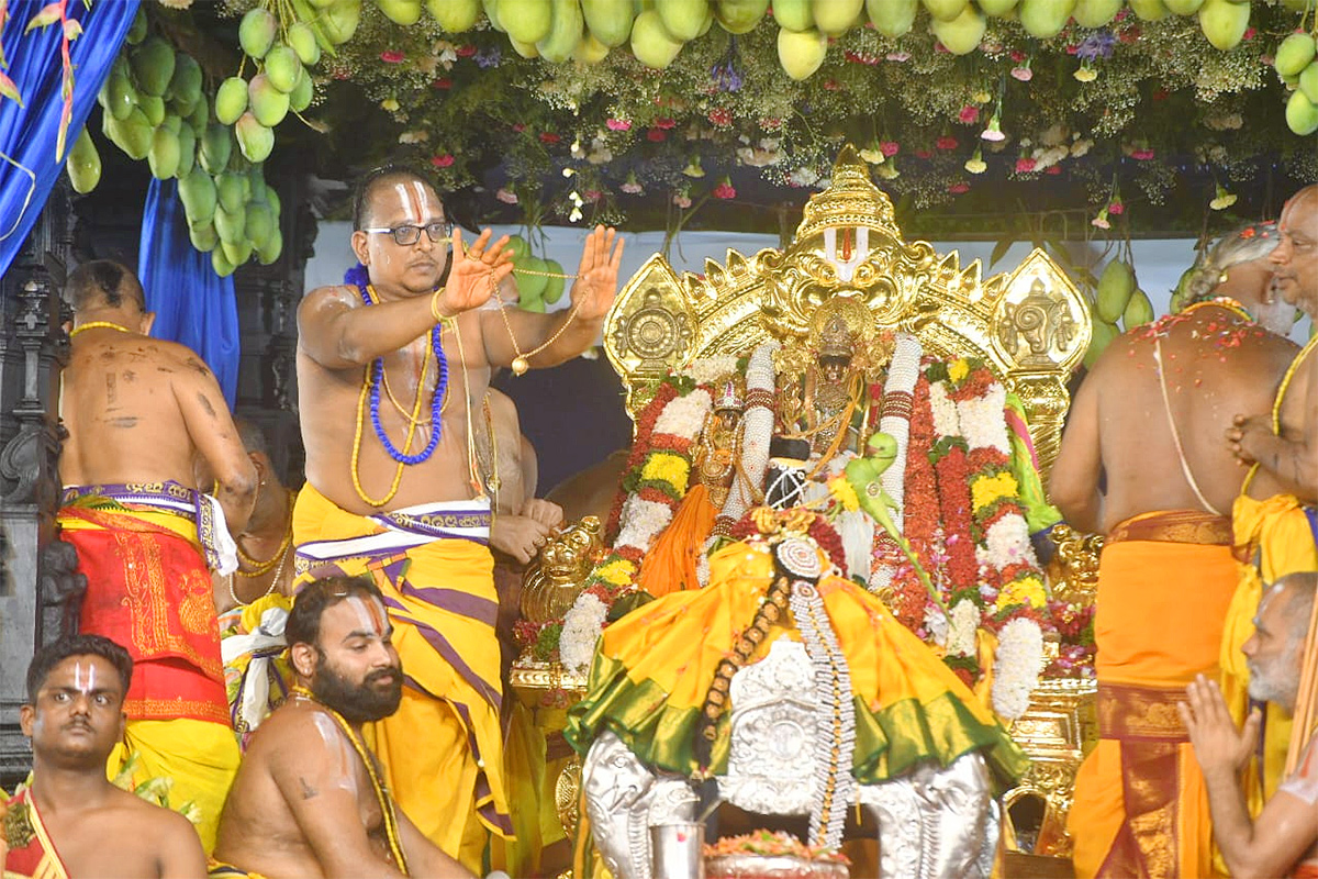 Sri Rama Navami Celebrations At Bhadrachalam Temple Photos - Sakshi