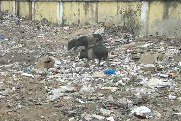 bad smell is spreading in market area by throwing waste - Sakshi