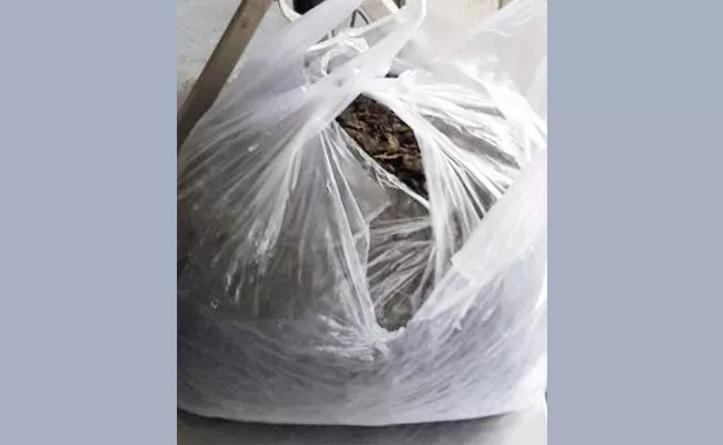 Marijuana Packets In School Bags - Sakshi