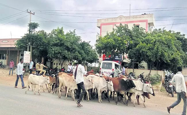 Cows Smuggling Vehicle Seized - Sakshi