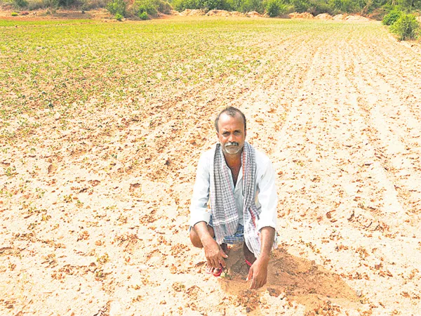 Farmer suicides was not stoped in AP - Sakshi
