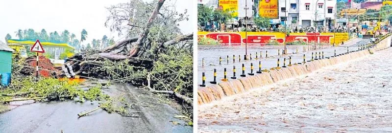 cyclone Gaja rises to 59 deaths - Sakshi