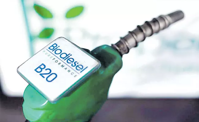 Biofuel is the right alternative to petroleum - Sakshi