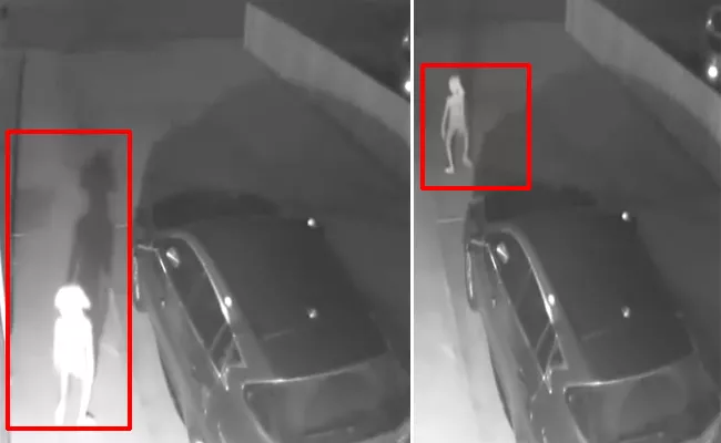Elf Like Creature In Security Camera More Views For Bizarre Video - Sakshi