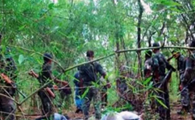 Encounter In Andhra Chhattisgarh Border Two Maoist Died - Sakshi