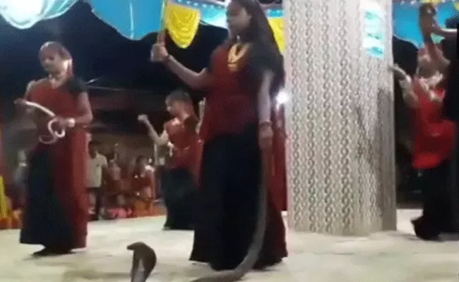 Women Seen In Video Holding Cobras During Garba In Gujarat - Sakshi