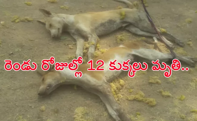 12 Dogs Loss in Peddapalli With Rare Disease - Sakshi