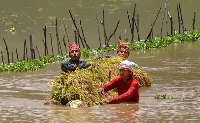 Five Died In Assam Floods Over 3.81 Lakh People Affected  - Sakshi