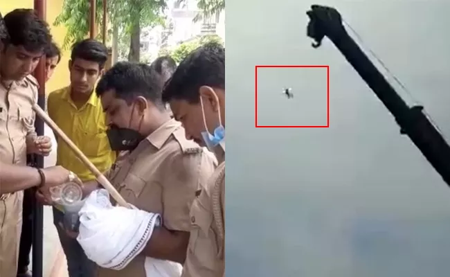 Uttar Pradesh Bareilly Police Saves Pigeon Stuck In China Manja - Sakshi