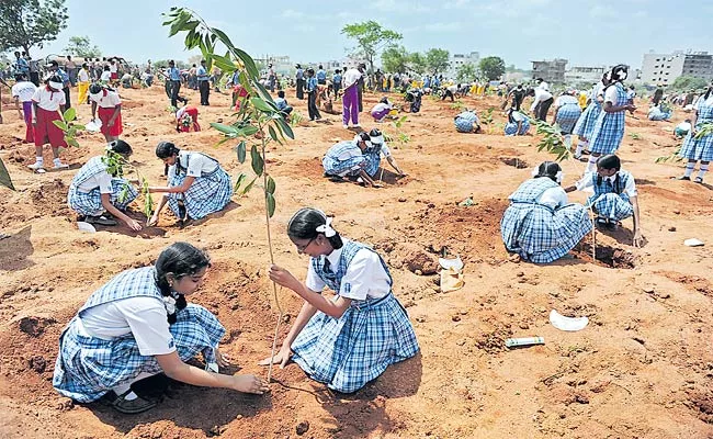 Karunakar Reddy Guest Column On Tree Plantation On Occasion Of Telangana CM KCR - Sakshi