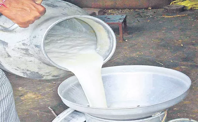 SC Corporation Plans To Provide Employment To Dalit Unemployed Youth Through Mini Dairies - Sakshi