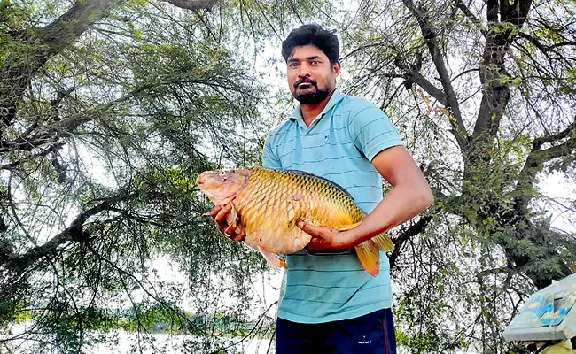 Mahabubabad Fisherman Caught 9Kg Goldfish - Sakshi