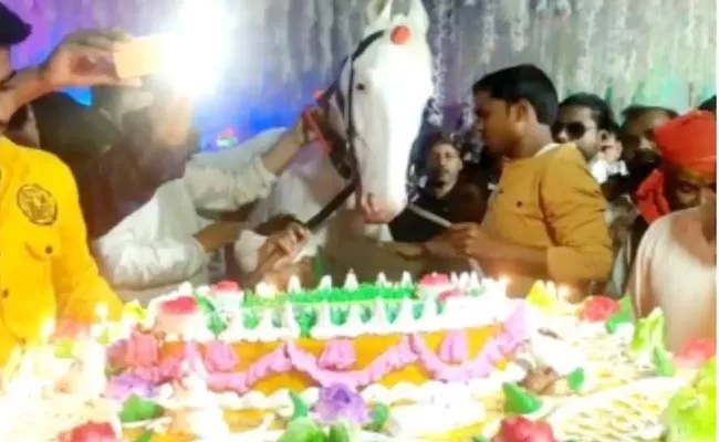 Man Celebrates Horse Birthday Lavishly In Bihar - Sakshi