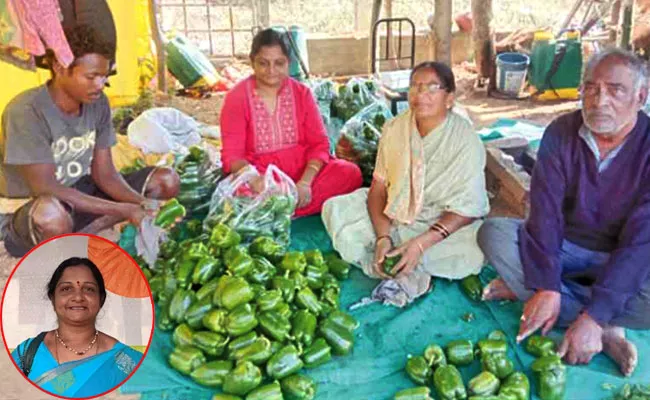 Seetha Odisha Jayapuram Woman Farmer Inspirational Story - Sakshi