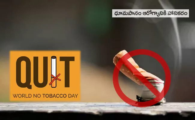 World No Tobacco Day 2021: History, Theme and Significance, Dangers of Passive Smoking - Sakshi