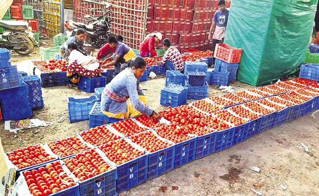 Massively increased tomato rate with Andhra Pradesh government actions - Sakshi