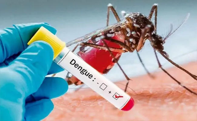 Dengue Cases Increses In Karimnagar - Sakshi
