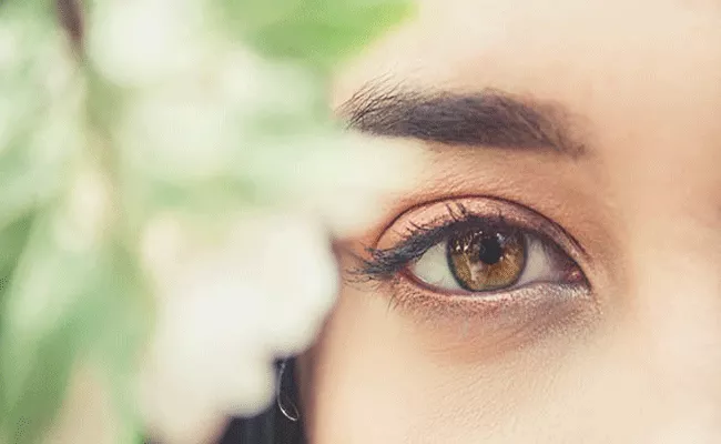 5 Best Food Tips That Improves Your Eye Vision - Sakshi