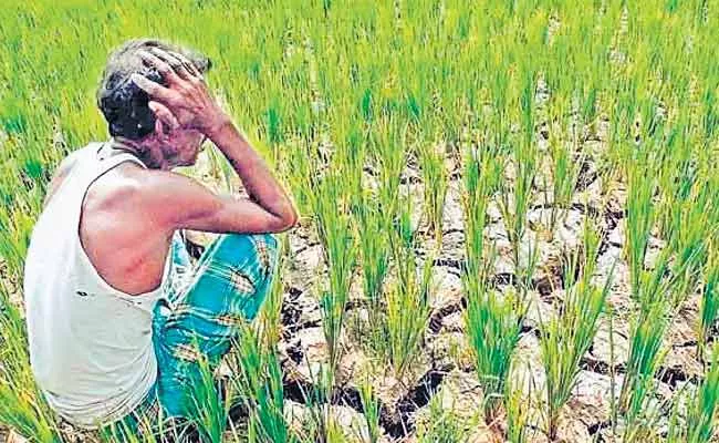Yogendra Yadav Article On The NSS Survey On Farmers - Sakshi