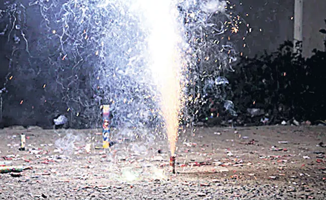 CBI probe shows violation of court ban on toxic material use in crackers - Sakshi