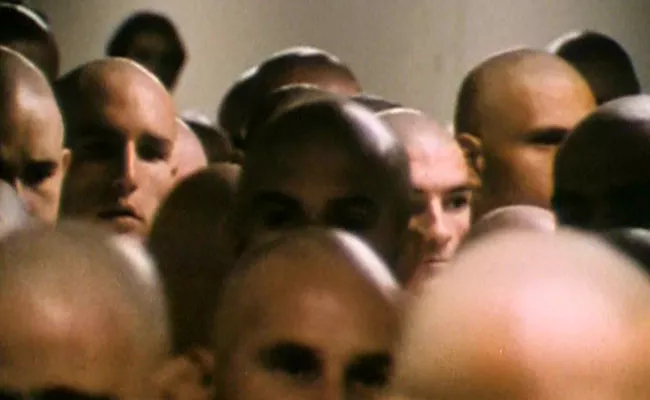 A Festival For Only Bald People In New York - Sakshi