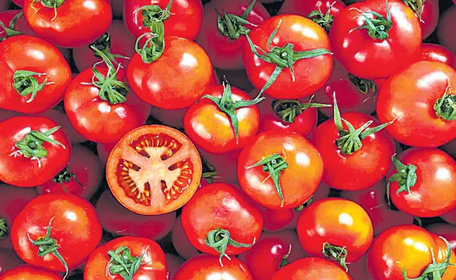 Tomato prices to remain elevated for two more months - Sakshi